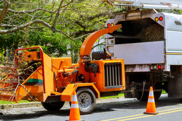 Best Commercial Tree Services  in Bondurant, IA